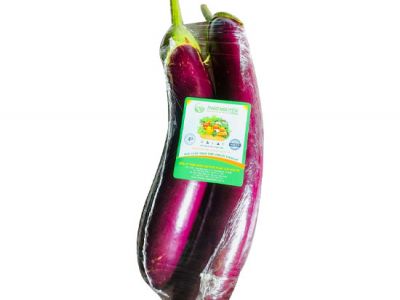 Eggplant