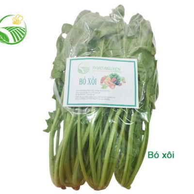 Cải Bó Xôi