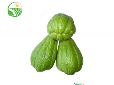 Chayote