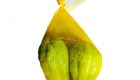 Chayote