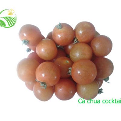 Cà Chua Cocktail
