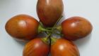 Woody Tomato