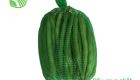 Japanese String Bean