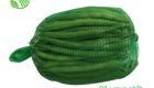 Japanese String Bean