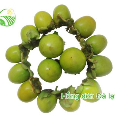 Hồng Dòn