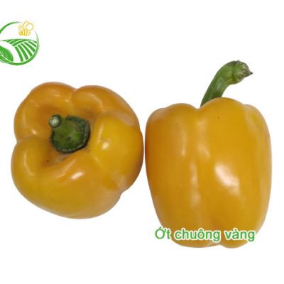 Ớt Chuông Vàng