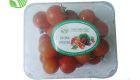 Cocktail Tomato