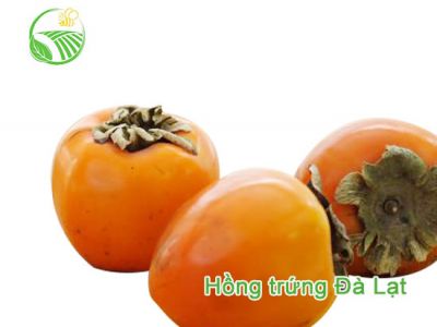Persimmon