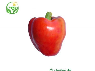 Red Capsicum