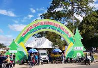 Thảo Nguyên Tham Gia Gian Hàng Tại Festival Hoa Đà Lạt 2017