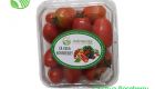 Roseberry Tomato