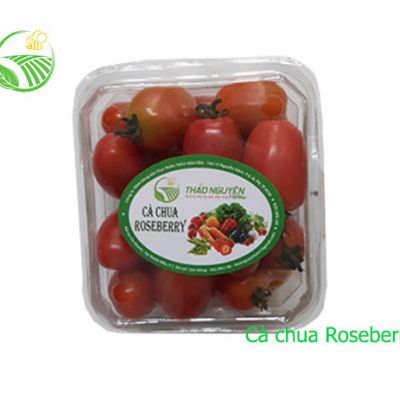 Cà Chua Roseberry