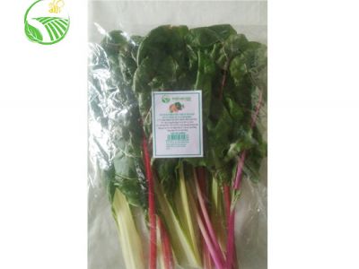 Cải Cầu Vồng