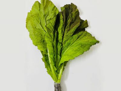 Hydroponic Mustard Leaves