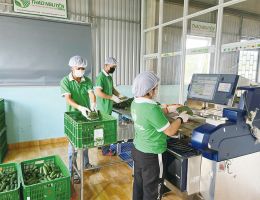 Thảo Nguyên xây dựng chuỗi sơ chế nông sản