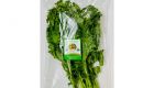 Cải Kale