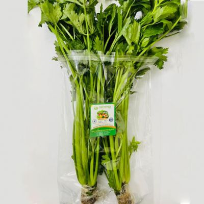 Cần Tây Thủy Canh