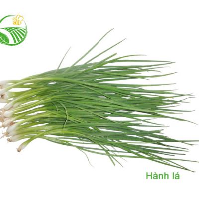 Hành Lá