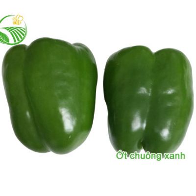 Ớt Chuông Xanh