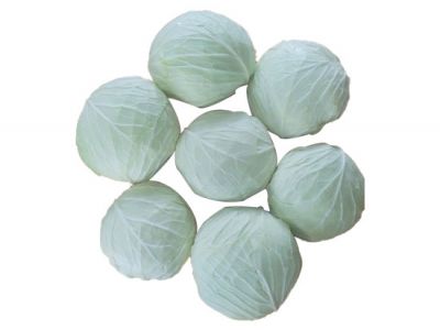 Bắp Cải Trắng