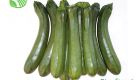 Green Zucchini