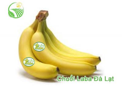 Laba Banana