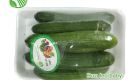 Baby Cucumber