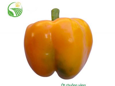 Yellow Capsicum