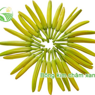 Bông Kim Châm Xanh