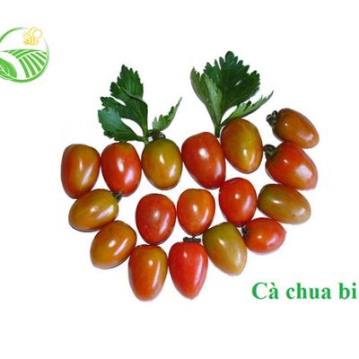Cà Chua Bi