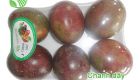 Passion fruit
