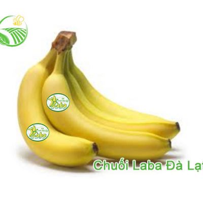 Chuối Laba