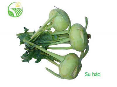 Kohlrabi