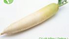 Daikon