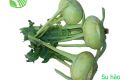 Kohlrabi