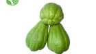 Chayote
