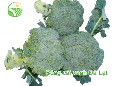 Bông Cải Xanh