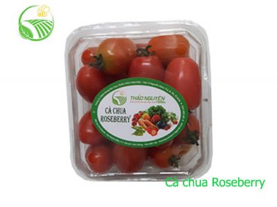 Roseberry Tomato