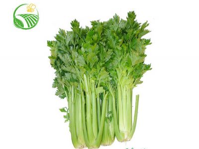 Cần Tây