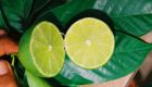 Seedless Lemon