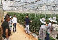 Đón Tiếp Chuyên Gia Nhật Bản - Công Ty Sds Biotech K.K Tư Vấn Dịch Hại Và Sâu Bệnh