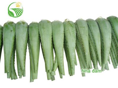 Aloe