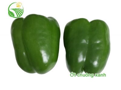 Green Capsicum