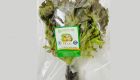 Hydroponic Red Frisee Lettuce