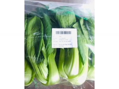 Cải Thìa Đài Loan