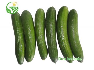 Baby Cucumber