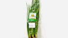 Hydroponic Green Onion