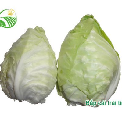 Bắp Cải Trái Tim