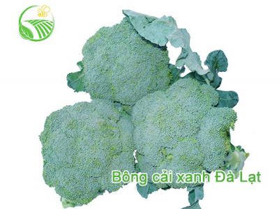 Bông Cải Xanh Bông Cải Xanh