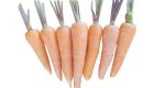 Da Lat Carrot